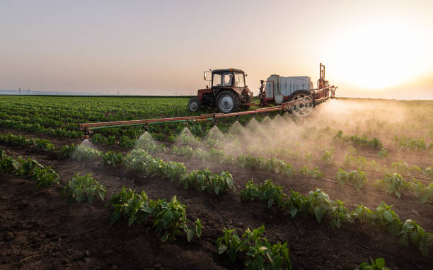 Pest Control Cost in Glen Ellen, CA