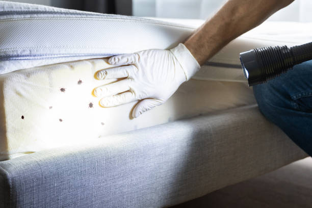Best Rat Extermination Near Me  in Glen Ellen, CA