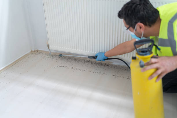 Best Best Pest Control Companies  in Glen Ellen, CA