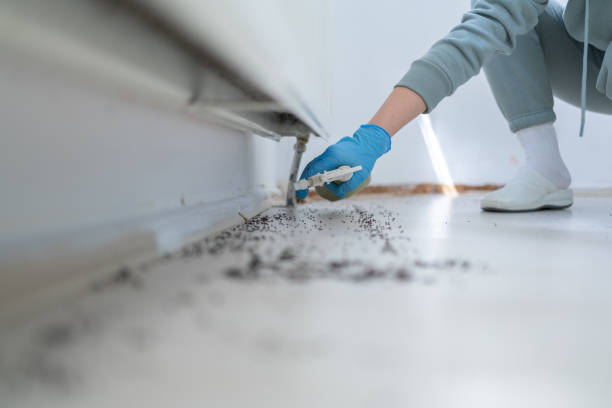 Best Ant Control Services  in Glen Ellen, CA