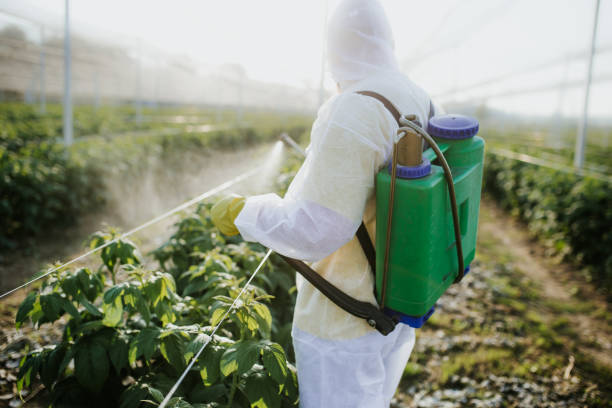 Best Pest Removal Services  in Glen Ellen, CA